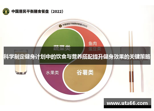 科学制定健身计划中的饮食与营养搭配提升健身效果的关键策略